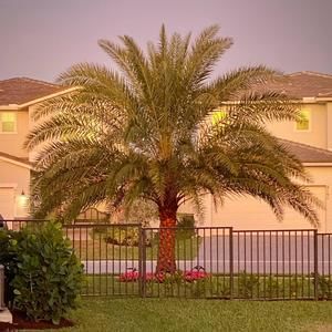 Meet your Posher, Shari